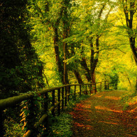 美女翻唱梁静茹《可惜不是你》经典伤感情歌,