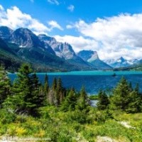 谈判官:房东太太给谢晓飞童微准备水和点心