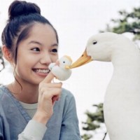 感谢你们发英文后面有翻译的个人频道