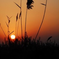 韩国人看中国综艺节目《声临其境》,感叹韩国