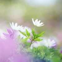 爱情回来了:陈赫看见戚薇穿这件衣服,陈赫有点