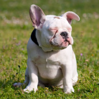 赵川现场逼问小伙:你是男人吗!小伙的一个回答