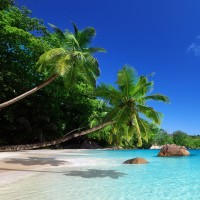 黑色幽默笑话的个人频道