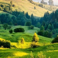 辰运游戏顾问的个人频道