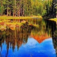 动画片 这些人都想让小智进化皮卡丘,神奇宝贝