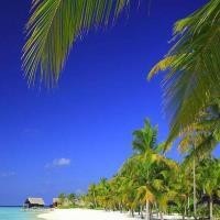 儿童动画片 大巴车吃撑了乱拉被警车抓了 挖掘