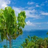 动画片欣赏 汪汪特派任务 皇家闹鬼记