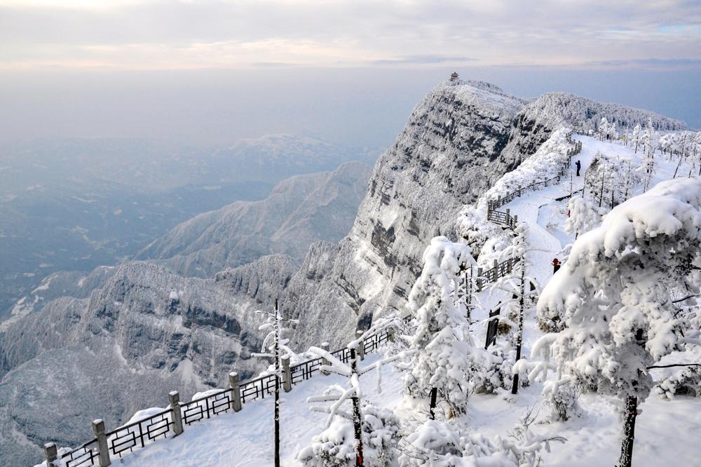 普贤菩萨十大愿王