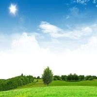 电视剧 老板一听自我介绍立马高兴了,美好生活