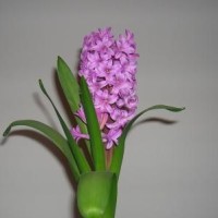 《奔跑吧兄弟》猜歌名,导演组一首TF神曲整