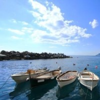 山不厌高的个人频道