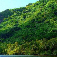 崔永元才是脱口秀大师,翻看他两年前的节目,能