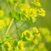 Baby鹿晗同要一张床,傻狍子含羞的直接跑了