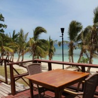 益智动画,学习大象,兔子,小牛的英语名称!认识