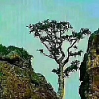 甜美少女冯提莫,现场演唱原创歌曲《佛系少女