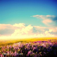 再笑一次,周星驰《国产凌凌漆》中的经典,还记