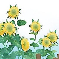 搞笑恶搞:搞怪整人套路,这样做就不怕被群殴吗