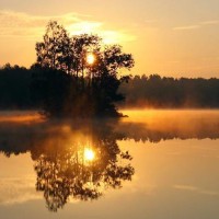 鲸波鼍浪的理想的个人频道