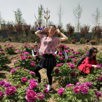 大荔凤玲广场舞《女人没有错》原创16步含教