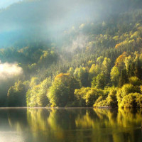 投井下石的美食的个人频道