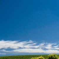 弱水三千只取一瓢饮嗯的个人频道