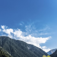 赵丽颖为什么不结婚?陈晓一句话说出了真相,原