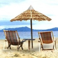 美女小雨老师问圆明园是谁烧的,熊孩子的回答