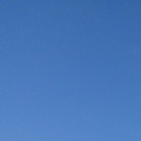 走进美国名校,来教老外学霸玩转中国app!