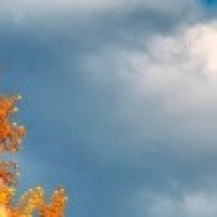 屌德斯解说-超级玛丽奥,就这样巧妙的把boss给