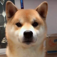 极速新视角 孙悟空父亲《龙珠巴达克之章》七