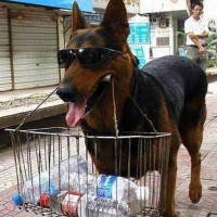 教你们一个自制吉利服的方法!只需要拿把镰刀