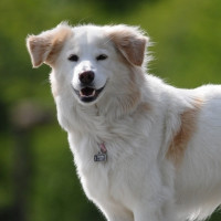 教室当迪厅跳起《社会摇》,黑衣服的妹子好帅