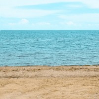 青儿和鱼日斗嘴全程爆笑,年轻时的吴樾还是小