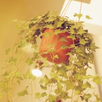 后妈的春天春云深夜看到布娃娃,又想起了失踪