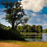 屏幕上一个词,王源和欧阳娜娜跳起舞来,贾玲竟