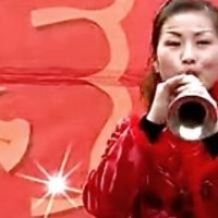 刘晓燕 民间小调《打工难》