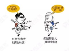 降压药氨氯地平与硝苯地平有啥区别?哪种比较喵喵栽培漫画图片