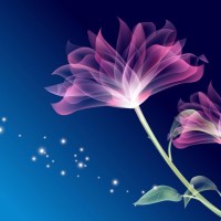 QQ飞车:严斌一放这首歌!全体粉丝怒刷色情主