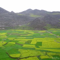 槑槑爱动漫的个人频道