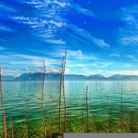 亲爱的翻译官翻译官被大学生难倒,这流利的法