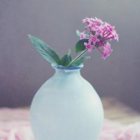 黄晓明和Angelababy相约去吃烧烤,两口子拌嘴