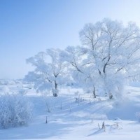 迪丽热巴参加比赛被对手嘲笑,鹿晗知道后怒了