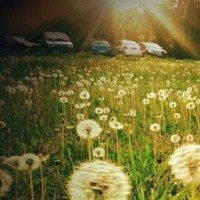 DNF:阿修罗29秒暴走火山,请问这个瞎子能换个