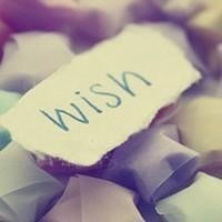 静美的秋日落叶