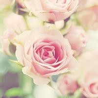 黑鲨手机玩刺激战场画质能有多高