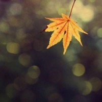 恐怖奶奶:挑战开门逃跑结局,芒果进化成恐怖孙