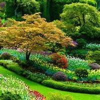 学霸萌娃安迪碾压美女黄圣依,说了2个字就解救