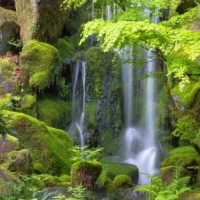 97年的一次采访中,迈克尔杰克逊第一次谈自己