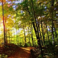 王者荣耀:玩家自创程咬金灭霸出装,结果却被天