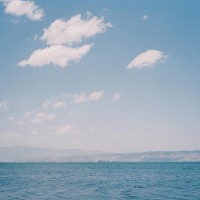 神雕侠侣:老顽童周伯通大闹绝情谷,阻止小龙女